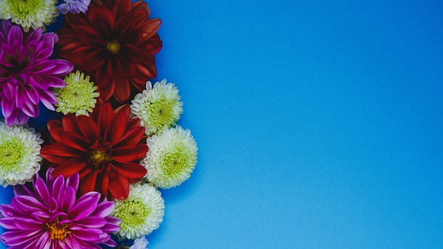 莫雷托：国米正在追逐维罗纳前锋焦瓦内，齐沃对其十分欣赏