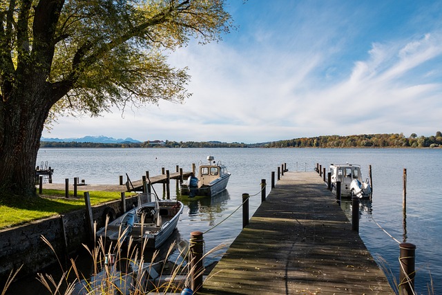 但他依然在 但他依然在