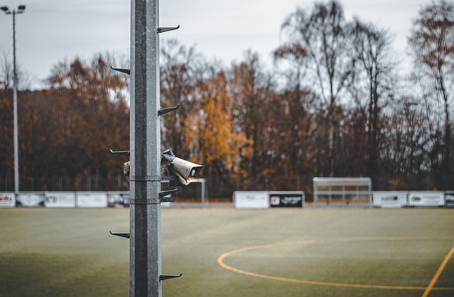 拼搏证明 拼搏证明