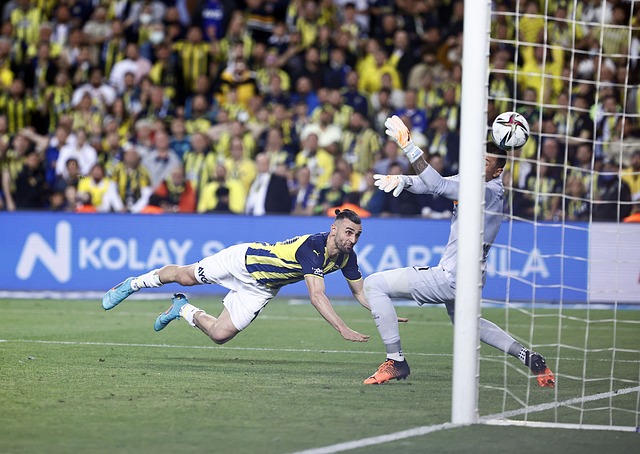 這一事件不 這一事件不