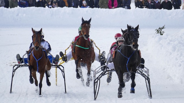 最具商业价 最具商业价