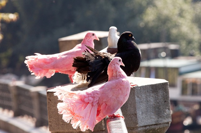 准备更加谨 准备更加谨