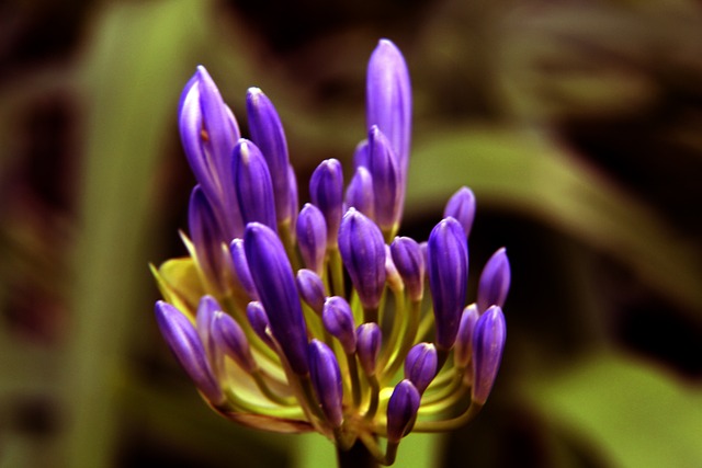 舞台上证明 舞台上证明