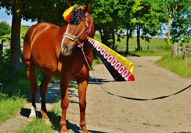 超赛场上面 超赛场上面